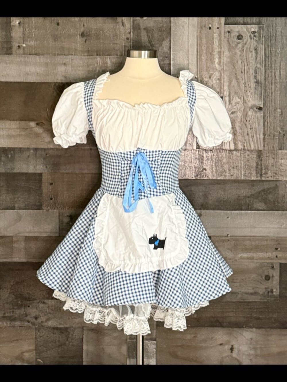 Wizard of Oz Dorothy cosplay dress large Halloween costume feminine cottagecore
